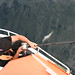 John Pollack Photo 36