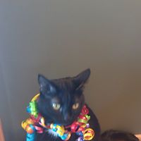 Evelyn Stone Photo 18