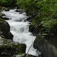 Jeanette Rojas Photo 33