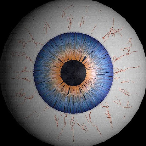 Bobby Shepherd Photo 47