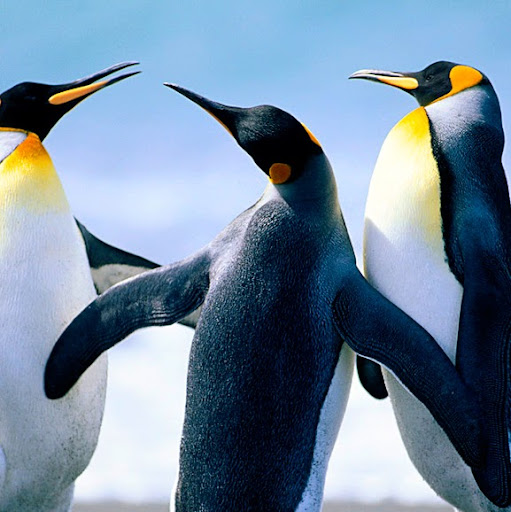 Gina Walter Photo 34