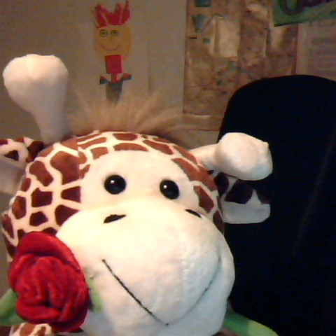 Juliana Sandoval Photo 6