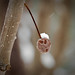 Gary Moody Photo 39