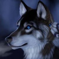 Daniel Magill Photo 14