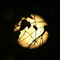 Cindy Cheney Photo 22