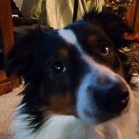 Jane Rasmussen Photo 27