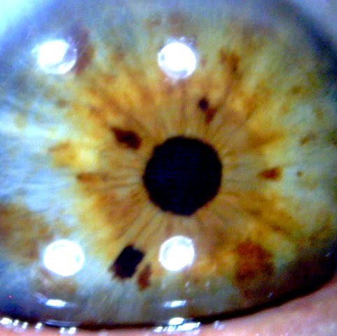 Shannon Mercer Photo 32 Shannon Mercer Photo 32