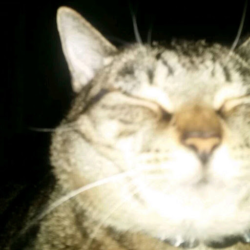 Charlotte Rose Photo 13