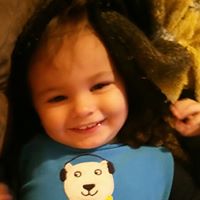 Justin Shaner Photo 6