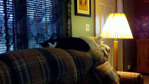 Donna Wilson Photo 10