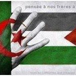 Samira Smith Photo 35