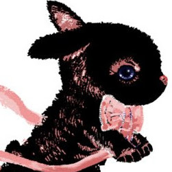 Paul Mcdermott Photo 24