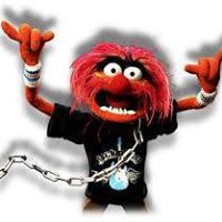 Marc Robins Photo 24