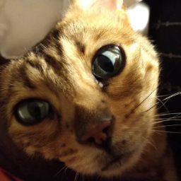 Patsy Dawson Photo 5