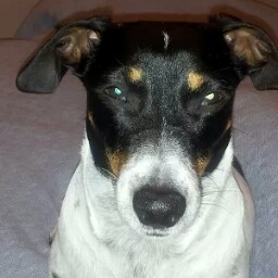 Robert Kruger Photo 41