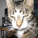 My Lu Photo 8