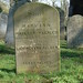 Ann Palmer Photo 18