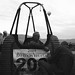 Wayne Dotson Photo 38