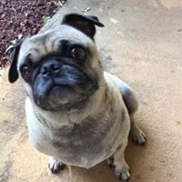 Jason Latham Photo 9