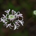 Kathy Mohr Photo 28