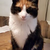 Donna Hanlin Photo 6