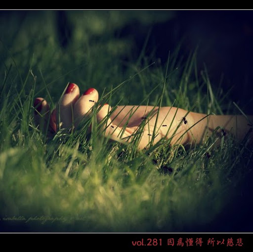 John Tsang Photo 36