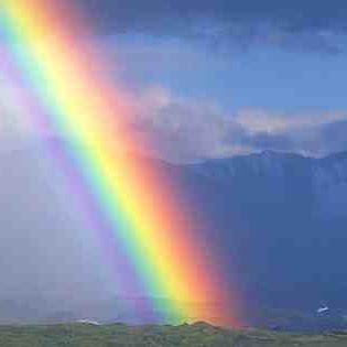 Reginald Lee Photo 35