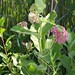 Ann Olson Photo 33