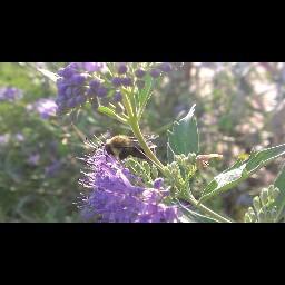 Brian Tighe Photo 34