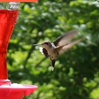 Lynn Clark Photo 20 Lynn Clark Photo 20