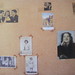 Elizabeth Hollander Photo 16