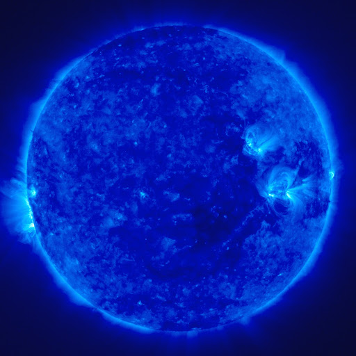 Michele Delaney Photo 10