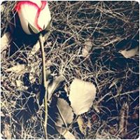 Heather Elliot Photo 17