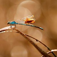 Wendy Herrmann Photo 4