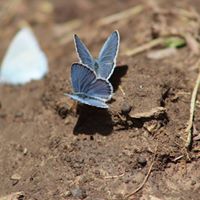 Teresa Sunday Photo 16