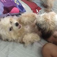 Kathleen Ngo Photo 14