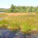 Sandy Rushing Photo 26
