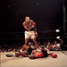 Sue Gruber Photo 18