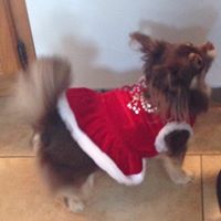 Tracey Horton Photo 16