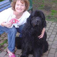 Cheryl Meerdink Photo 2