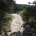 Sandy Straub Photo 15