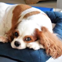 Marilyn Krause Photo 9