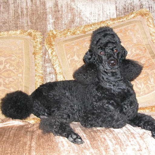 Anita Price Photo 27