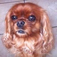 Victoria Marco Photo 4