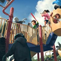 Harry Mcdowell Photo 19