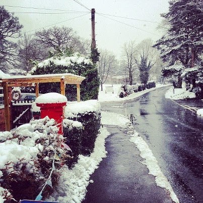 John Jenks Photo 38