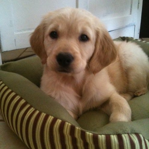 Russ Maxwell Photo 22