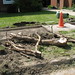 Karen Ash Photo 26