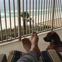 Susan Mccrary Photo 15