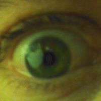 Jeff Donovan Photo 22